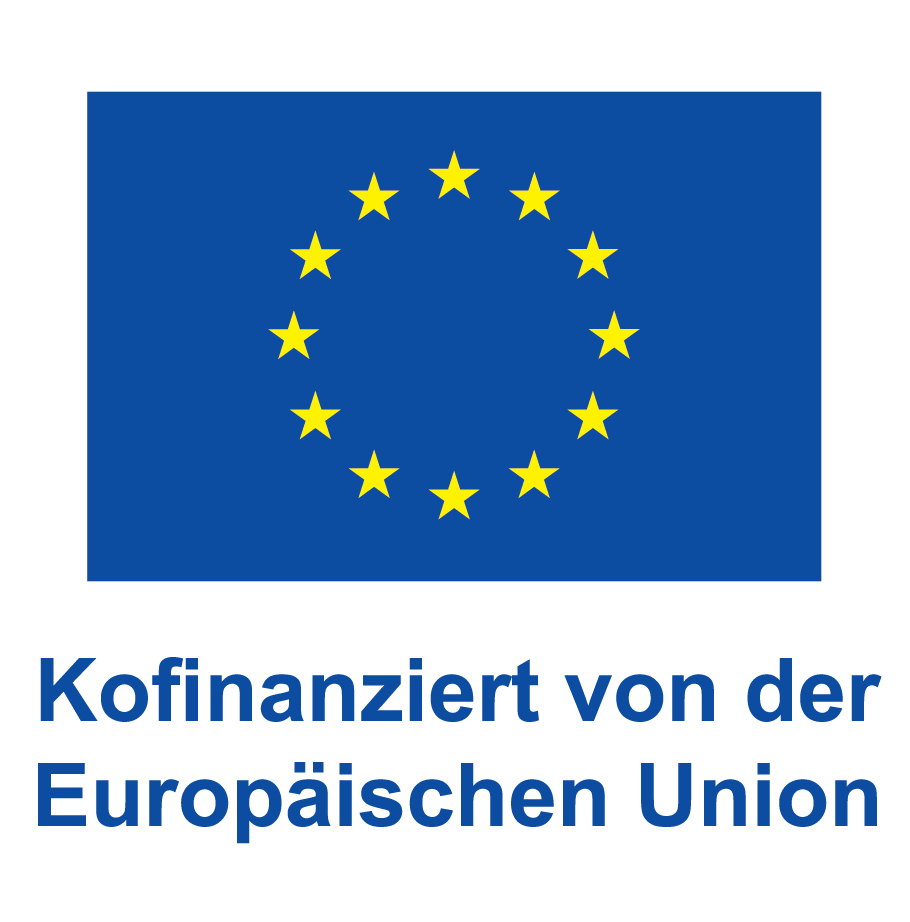 EU Logo A4 links