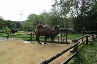 Zoo-Saarbrücken